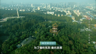 我是一颗小小的石头……丨《美术经典中的党史》邀您走近国画《雨花台颂》……