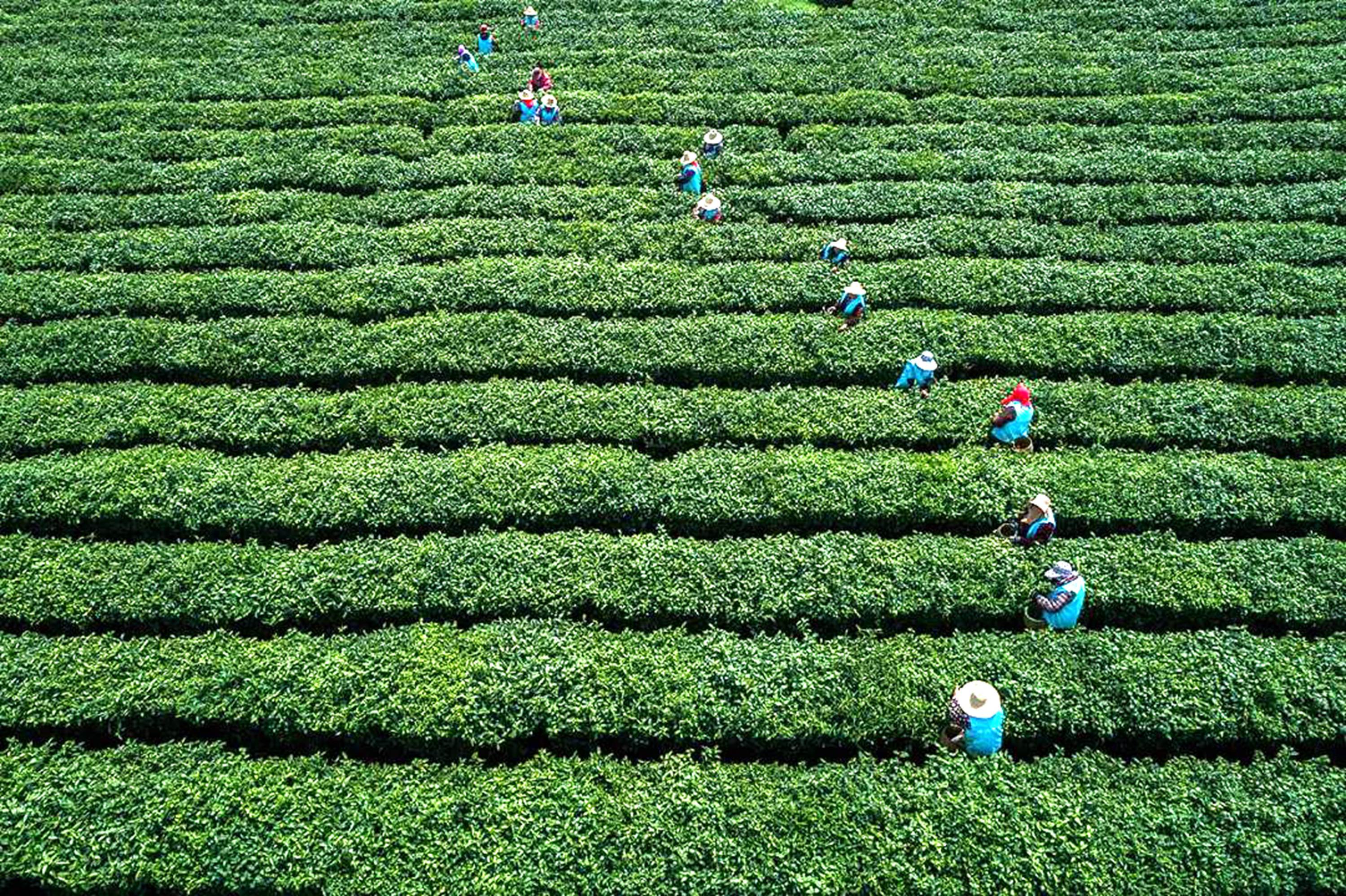 蘇州貢山島：人間天堂 處處驚艷