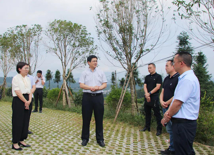 雅安市雨城区委副书记区长陈建伟调研乡村振兴先进区创建工作