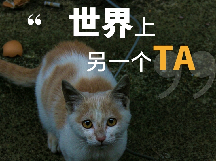 救助流浪动物 民间力量在行动_fororder_1626678959711399