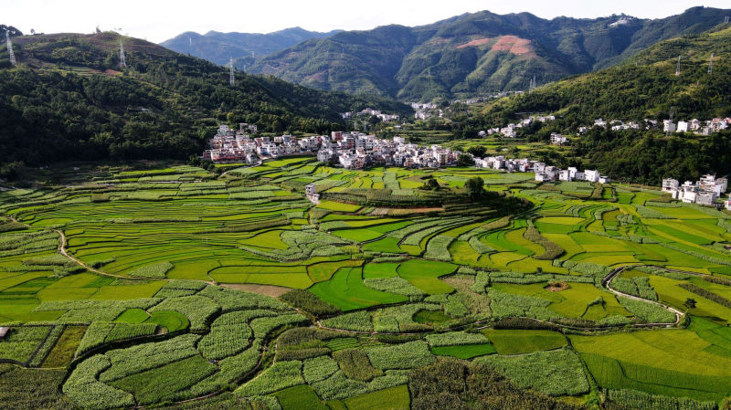 班春雷主任(广西隆林)图片