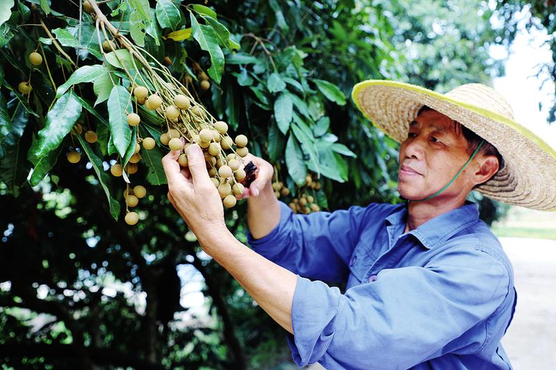 南宁市良庆区：接续奋斗幸福生活