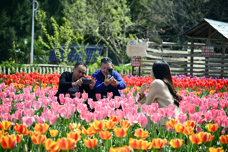 广元利州区人大代表、四季绣生态农庄总经理胡晓全：返乡创业圆梦 履职尽责为民_fororder_游客在四季绣生态农庄拍照留影。李霞-摄