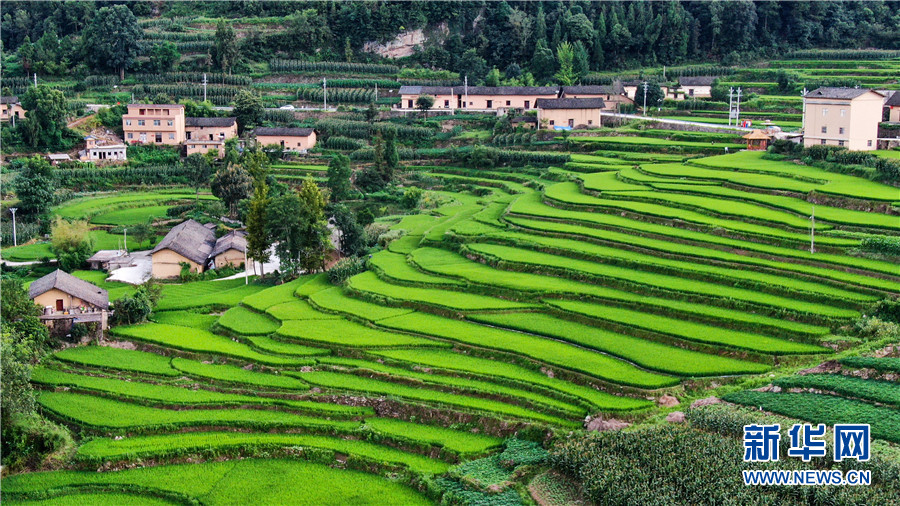 夏日牛洞坪：层层梯田 如画村庄