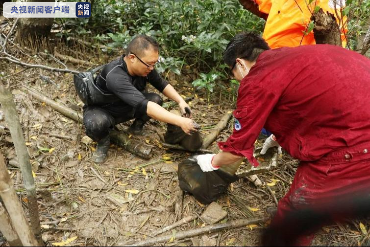 各样性缩短 功能性退化 淇澳岛红树林生态系统访谒开启