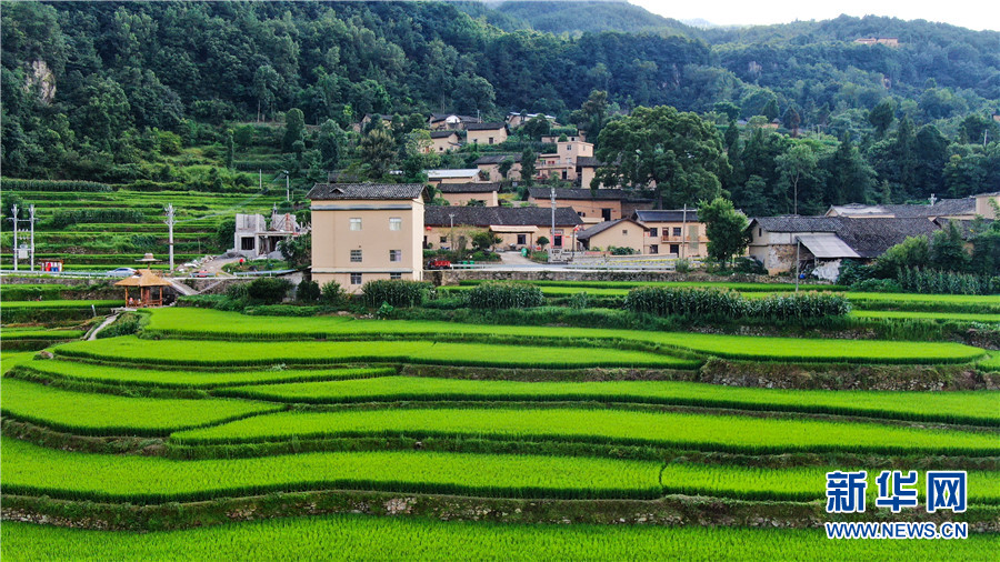 夏日牛洞坪：层层梯田 如画村庄