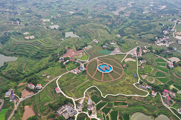 宜宾南溪区召开2021年酿酒专用粮采购商大会_fororder_南溪区酿酒专用粮现代农业园区-供图-南溪区委宣传部