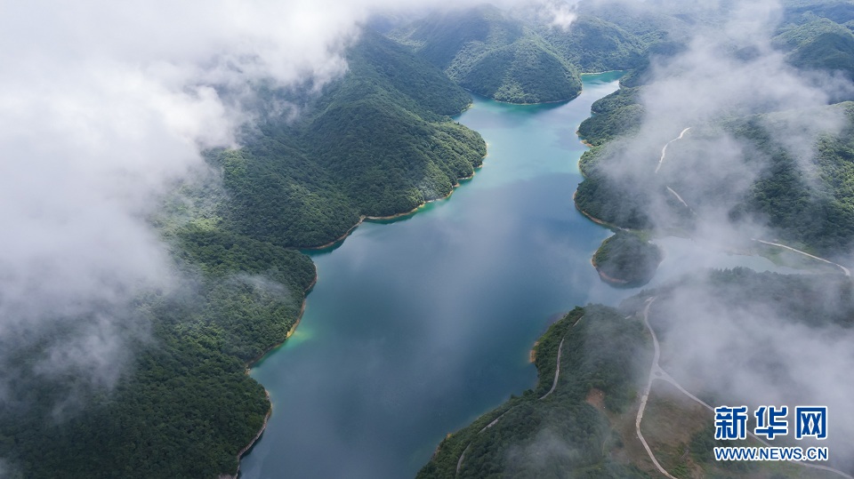 大山深处的“绿色水库”