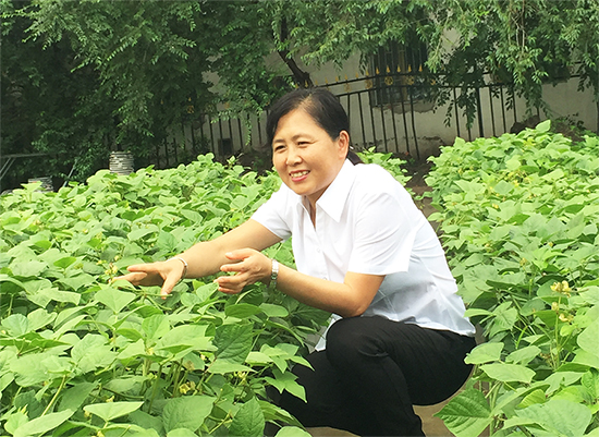 01【OK】【吉林供稿】農業專家梁傑：培育綠豆新品種 服務“三農”