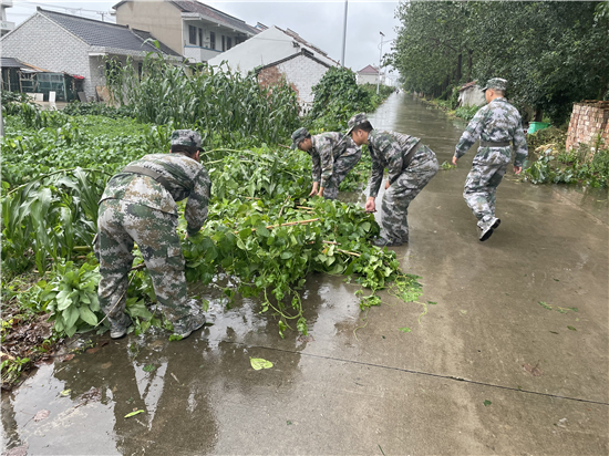 战“烟花”，海门区民兵在风雨中逆行_fororder_4