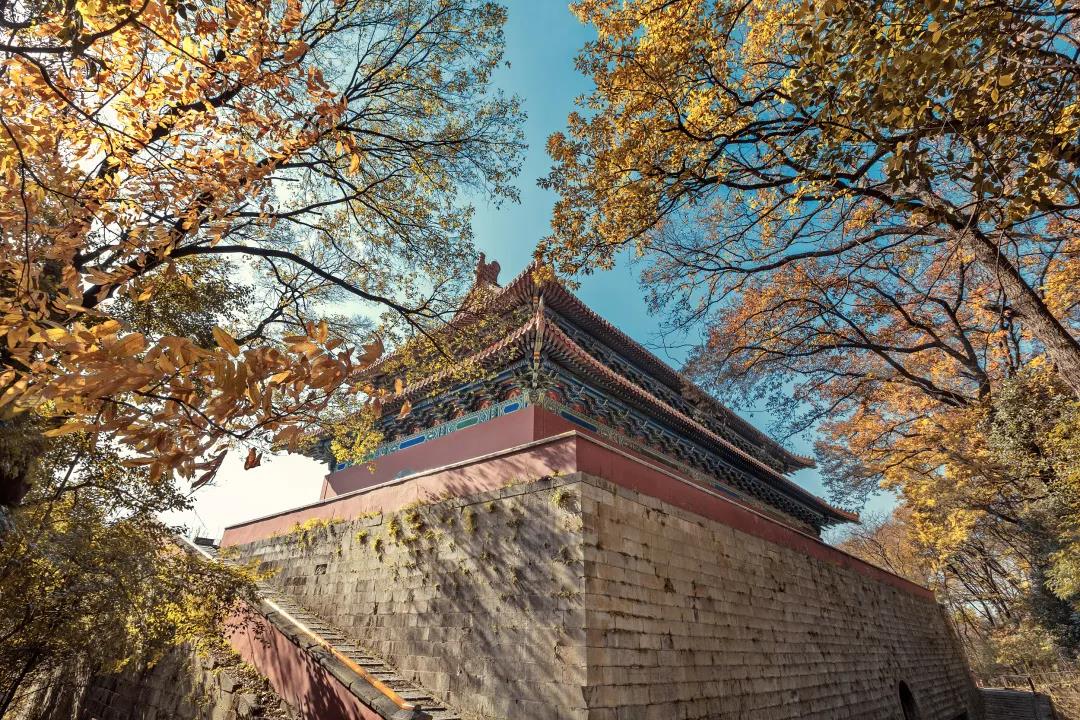 海清：在四季风月中感受古都南京的人文底蕴