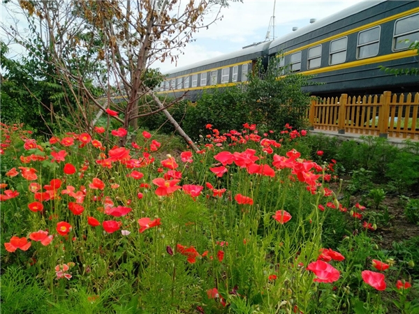 大自然的深意：火车酒店为啥这么火！