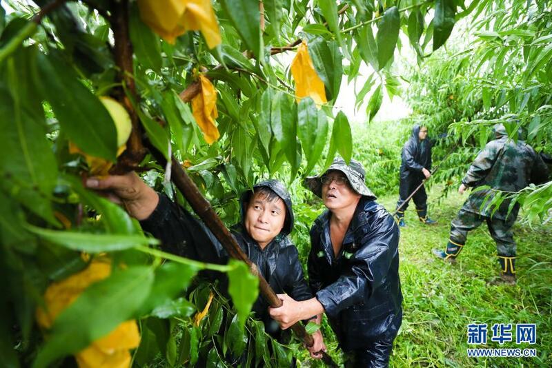 Mazauna Zhejiang suna kokarin ceton kansu yayin da suke fama da mahaukaciyar guguwa_fororder_1127698054_16273113811051n