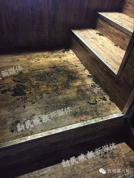 唐安琪烧伤系人为？女伴身份被扒，被疑是因爱生恨