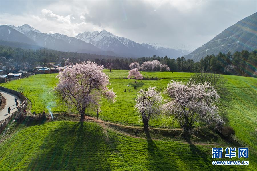 西藏仍然是世界上生态环境最好的地区之一