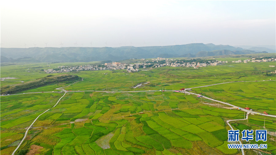 航拍贵州花溪高坡美丽田园