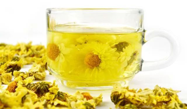 【食在重庆 图文】你喝菊花茶吗？喝不对小心引起慢性鼻炎！