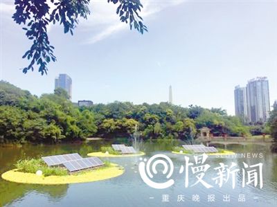 【聚焦重庆】重庆：百林公园藏着许多高科技