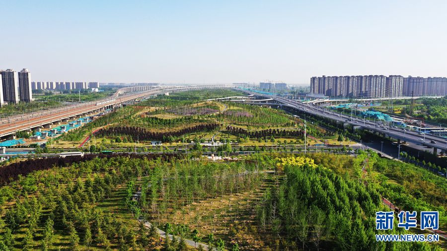 【焦点图-大图】【移动端-轮播图】郑州高铁公园：流动的生态景观绿脊