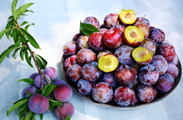 “李族皇后”天峨龙滩珍珠李成熟上市_fororder_53