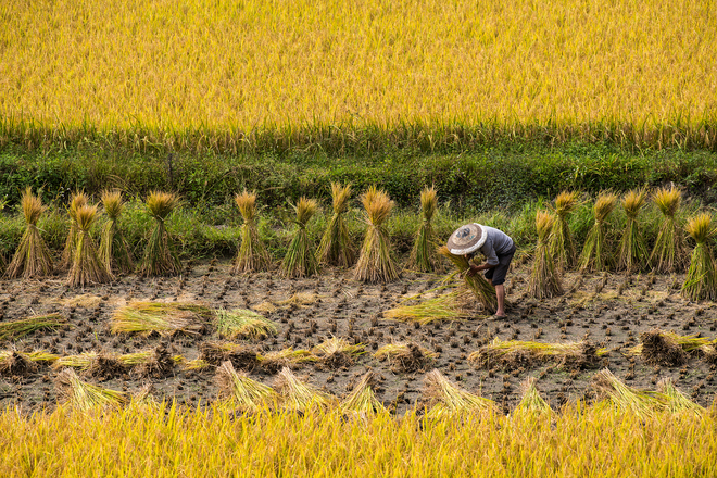 Pagsapit ng Li Qiu: Paalam Tag-init, tuloy ka Taglagas!_fororder_VCG41N1040805108