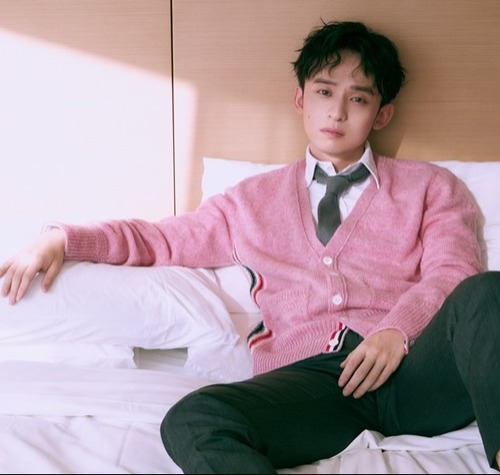 董子健粉色系写真曝光 新戏《流金岁月》开机引期待