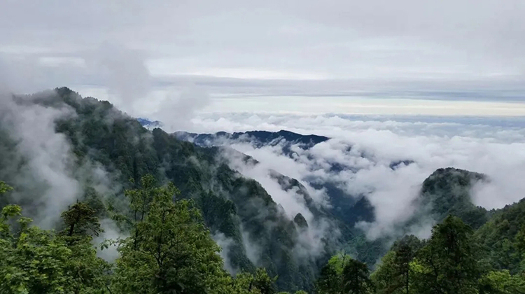 爬山戏水享清凉 四川夏日避暑好去处_fororder_峨眉山-供图-四川省文旅厅