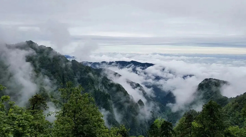 爬山戏水享清凉 四川夏日避暑好去处_fororder_峨眉山-供图-四川省文旅厅