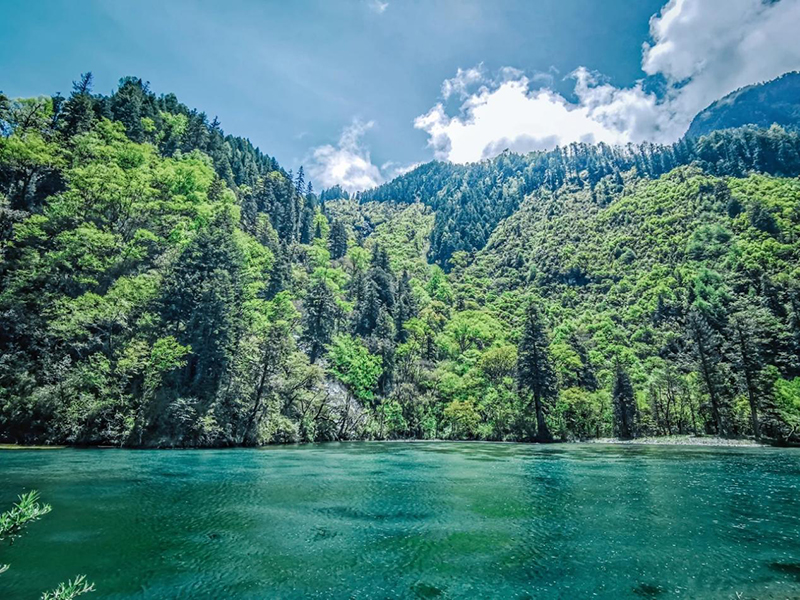 爬山戏水享清凉 四川夏日避暑好去处_fororder_毕棚沟3-供图-四川省文旅厅