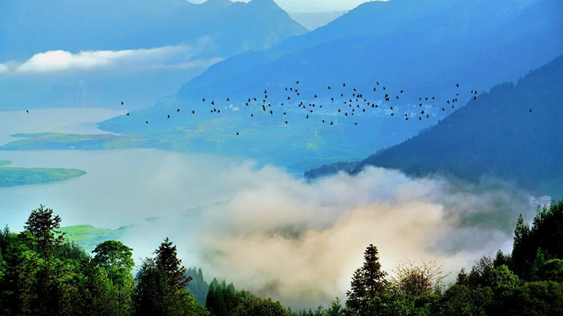 爬山戏水享清凉 四川夏日避暑好去处_fororder_瓦屋山-供图-四川省文旅厅