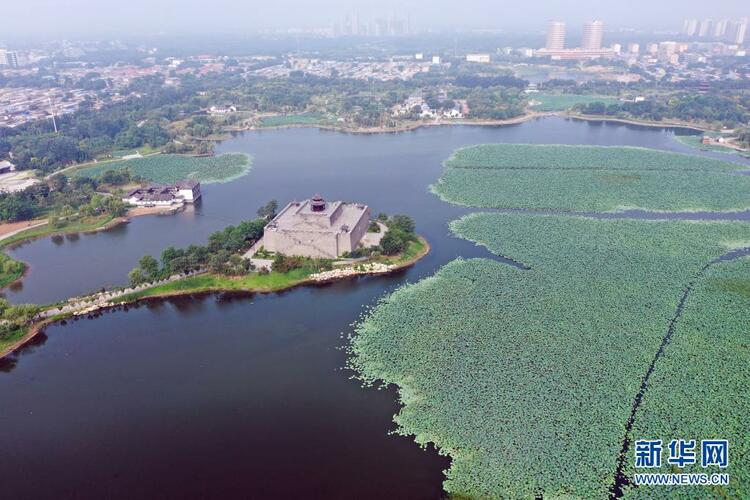 河北河間：建設城市遊園 促進生態發展