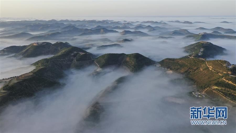 退耕还林二十年 黄土高坡现仙境