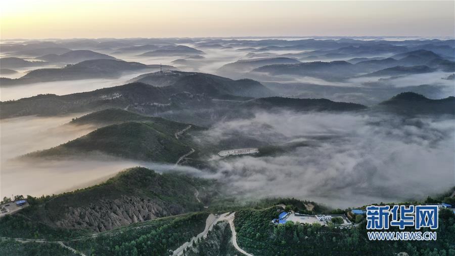 退耕还林二十年 黄土高坡现仙境