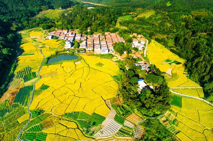 第三届“广东十大美丽乡村”系列活动启动_fororder_4