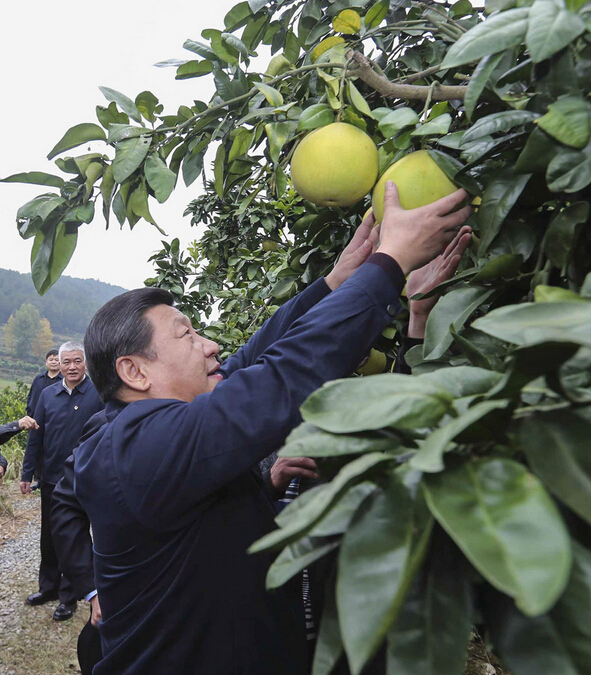 图片默认标题