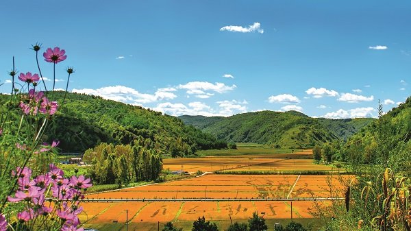 Hou Xiuzhen: Kokarin raya ruhin Nanniwan na dogaro da kai da aiki tukuru_fororder_nanniwan2