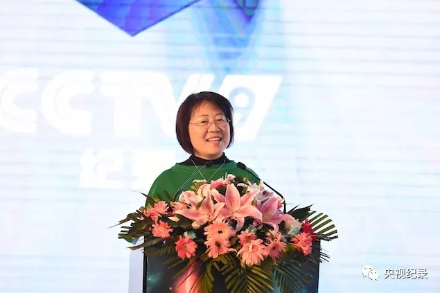 中央电视台纪录频道总监 梁红