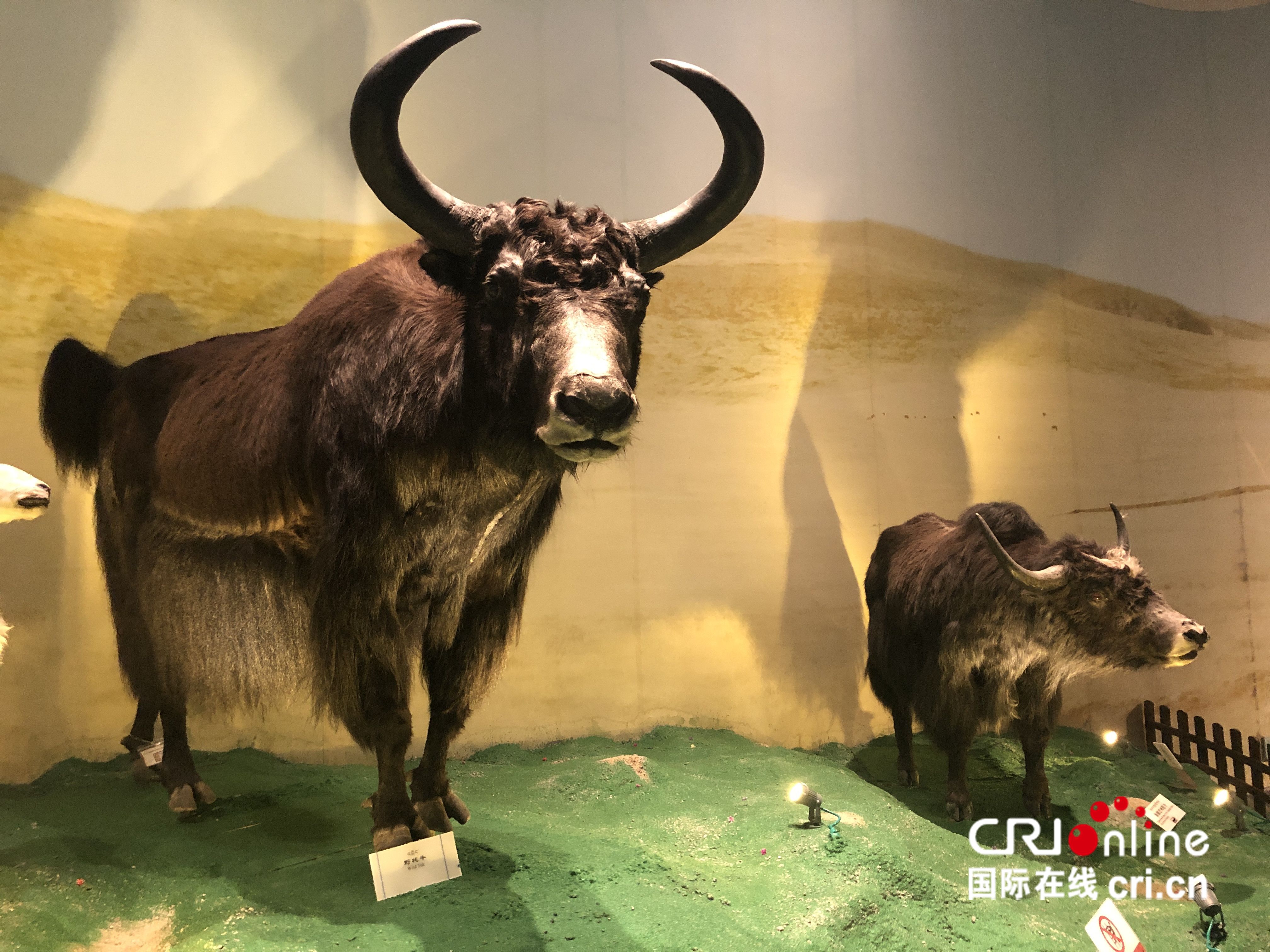 圖片默認標題_fororder_IMG_7174