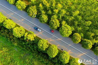 江苏淮安：美丽农路助振兴