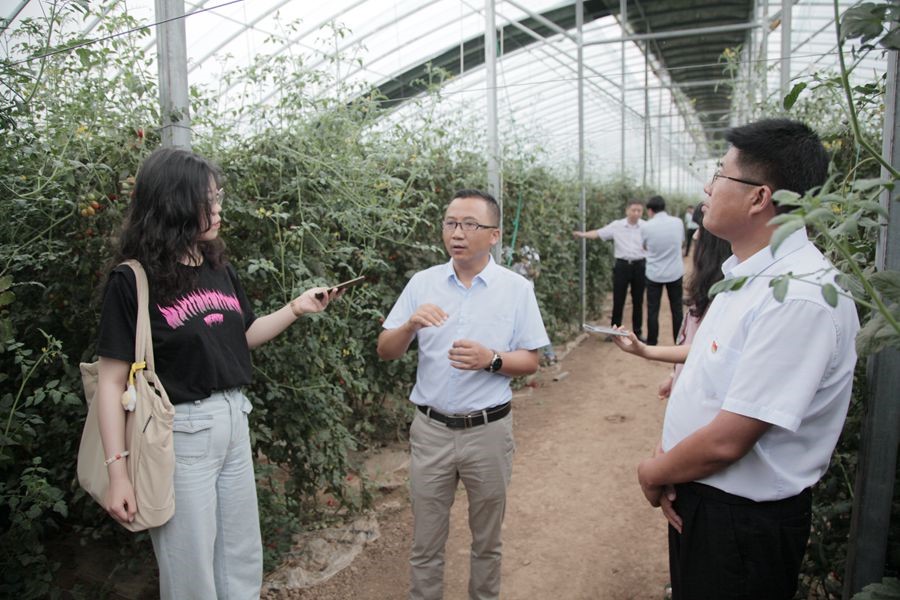 岐山县委书记苏少敏：在高质量发展中为陕西追赶超越贡献岐山力量_fororder_2