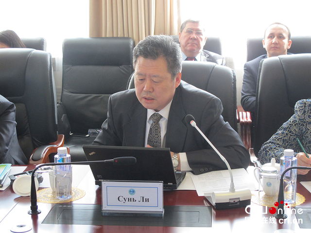 中国社会科学院俄罗斯东欧中亚研究所副所长孙力发言 拍摄:赵祎