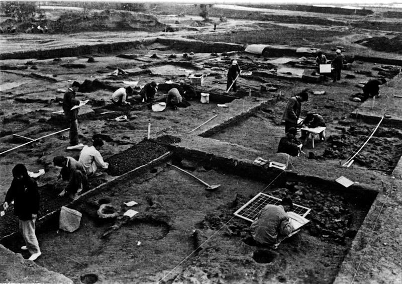 6000年前，你是做什么用的？