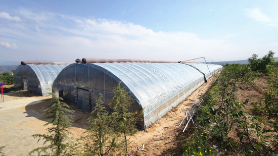 【OK】【河南供稿】河南省灵宝市函谷关镇扎实开展纪检干部大走访活动