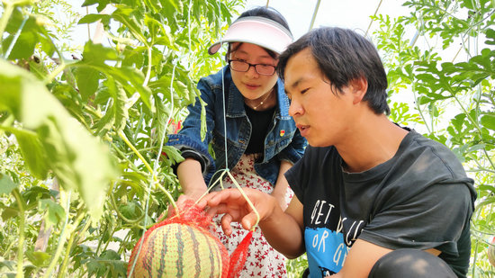 【OK】【河南供稿】河南省灵宝市函谷关镇扎实开展纪检干部大走访活动