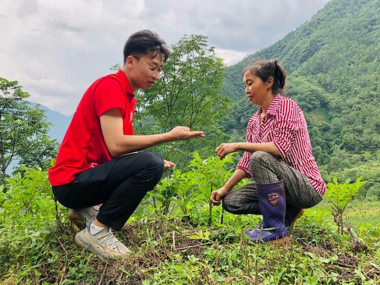 暑期“三下乡”，这群大学生超“接地气”