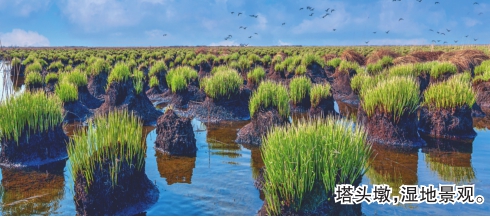 黑龙江国际重要湿地