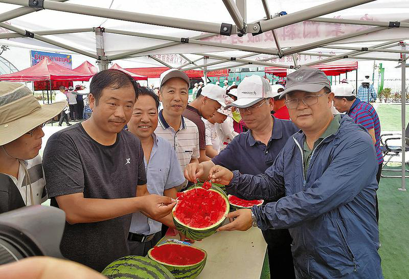 【没有签发】助力渭南产业脱贫致富  第五届全国西甜瓜之乡产业联盟大会在渭南蒲城召开