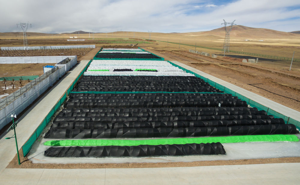 雪域歡歌70載·西藏啟航新時代｜曾經“沒有一棵樹的城市”，如今有了一片“科技林”