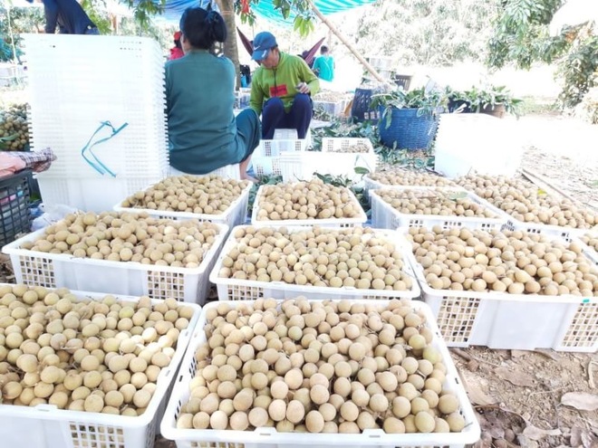 图片默认标题_fororder___172.100.100.3_temp_9500033_1_9500033_1_1_12556c48-b076-414c-beca-1f707a29e7e7