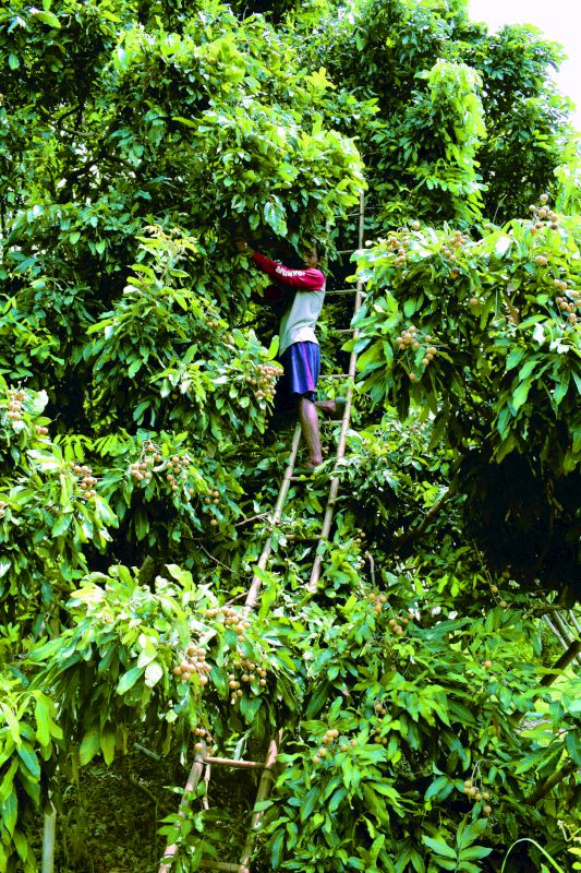 图片默认标题_fororder___172.100.100.3_temp_9500033_1_9500033_1_1_baabc154-301c-4261-9894-dfa3aa6727c4